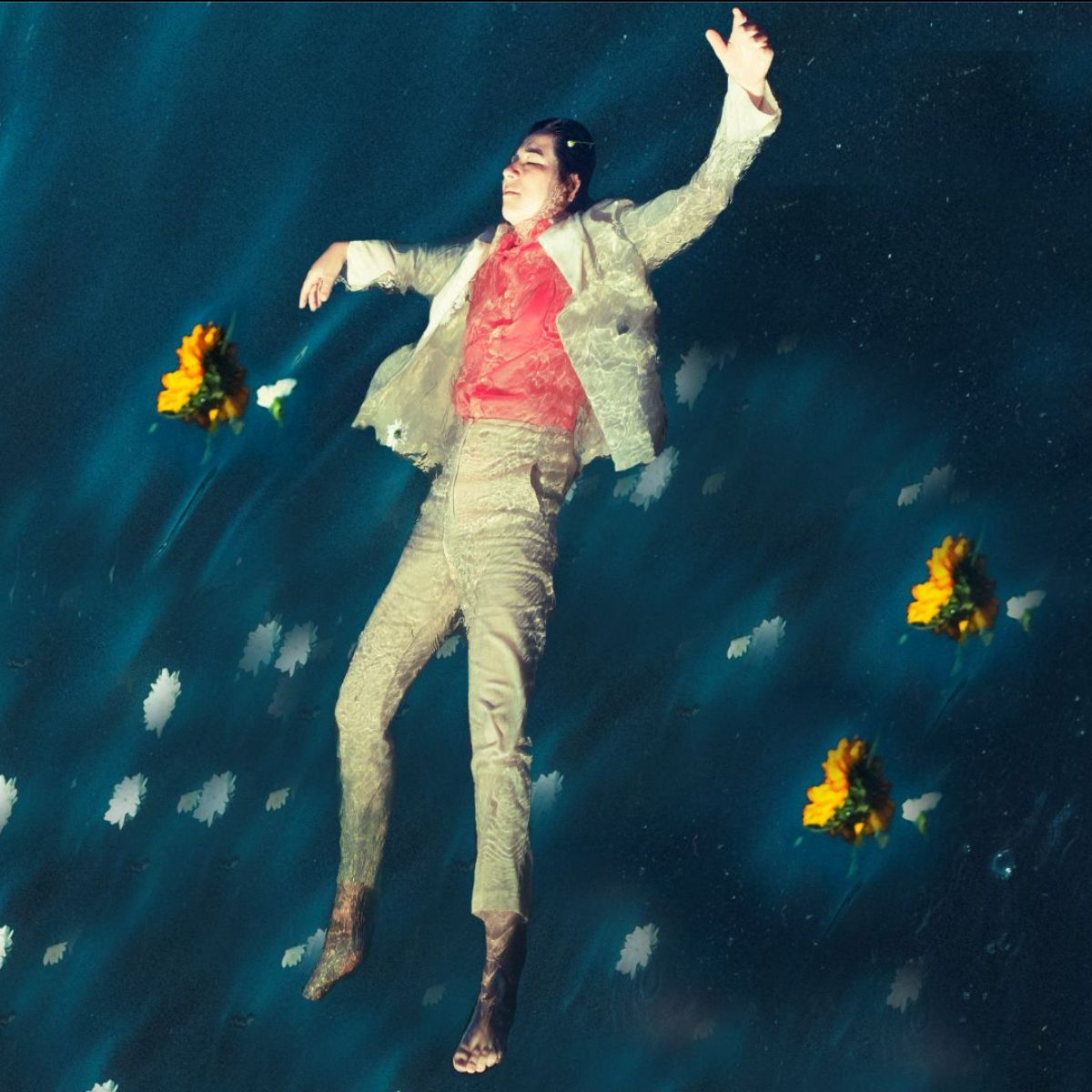 FESTIVAL DE CINEMA PORTUGUÊS - CINEMA