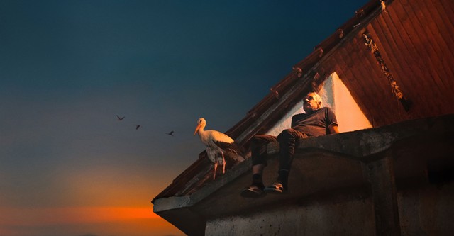 O CONTO DE SILYAN - CINEMA